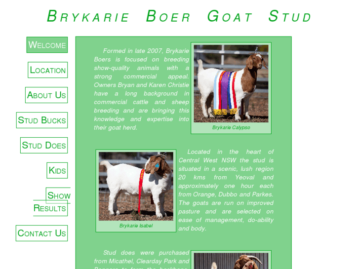 www.brykarieboers.com