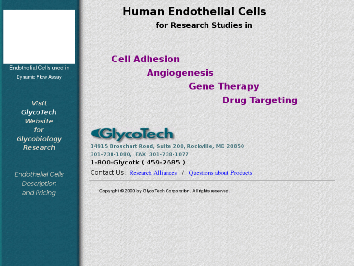 www.endothelial-cells.com