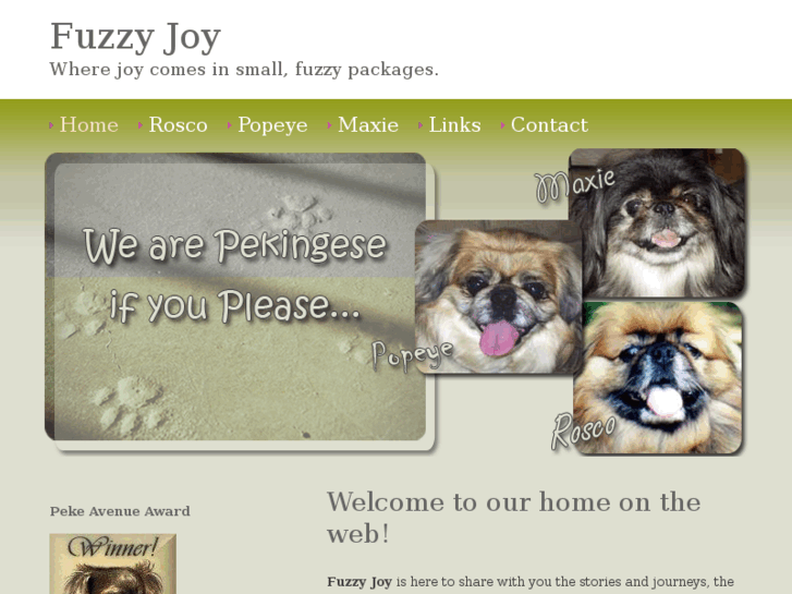 www.fuzzyjoy.com