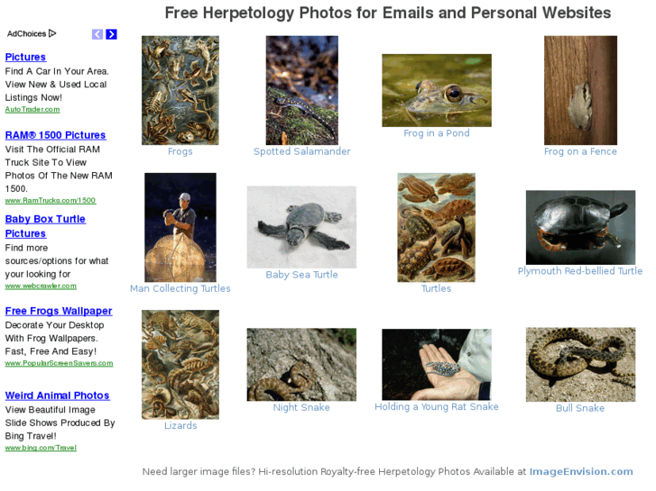 www.herpetologyphotos.com