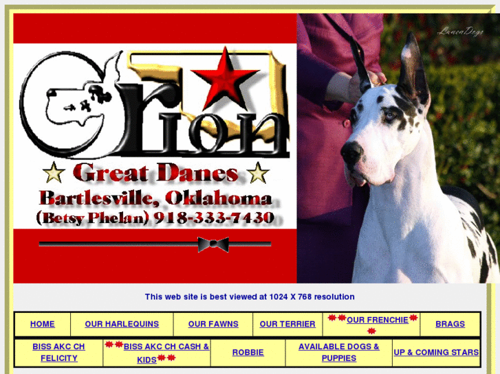 www.oriongreatdanes.com