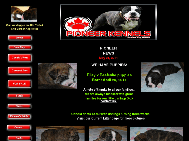 www.pioneerkennel.com