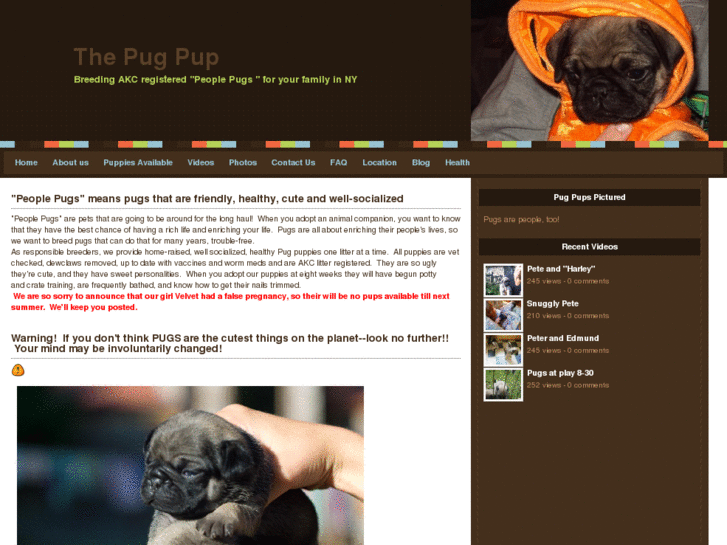 www.thepugpup.com