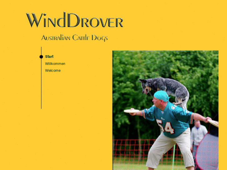 www.winddrover.com