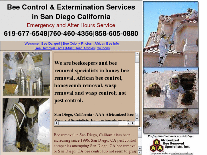 www.beecontrolsandiegoca.com