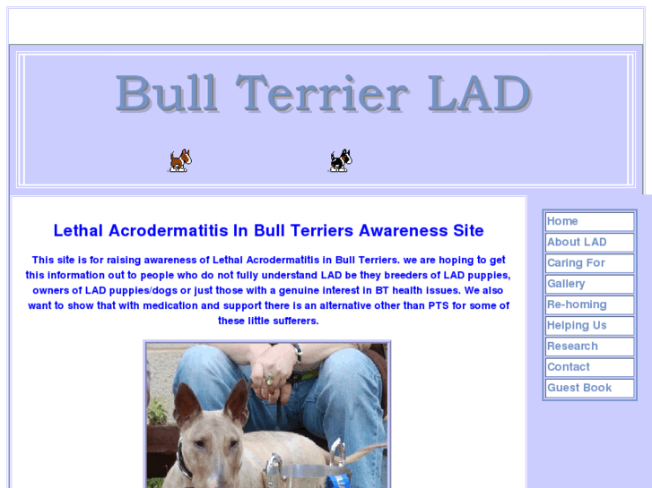 www.bullterrier-lad.com