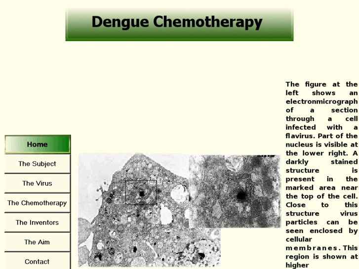 www.dengue-chemotherapy.com