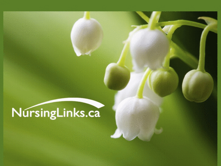 www.nursinglinks.ca