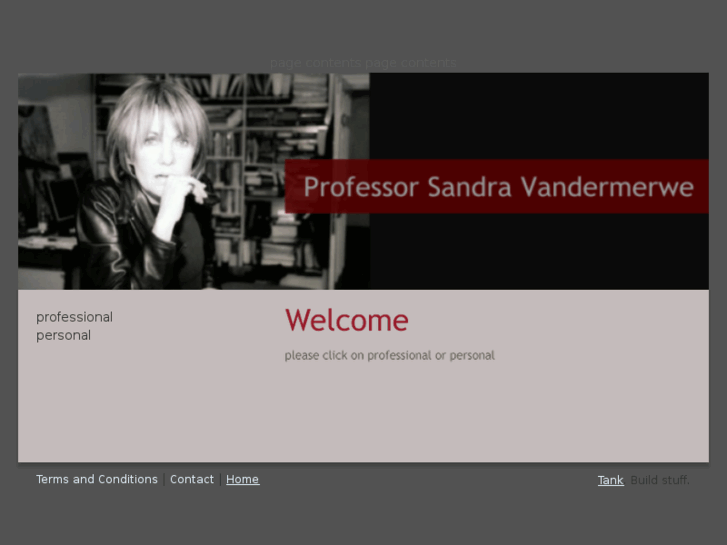 www.profsandravandermerwe.com