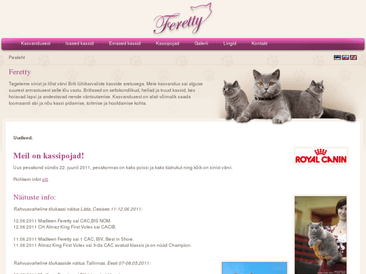 www.ferettycats.com