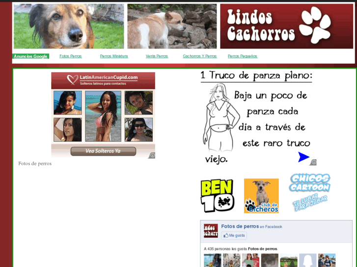 www.lindoscachorros.com