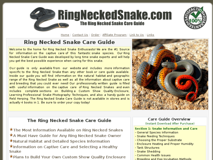 www.ringneckedsnake.com