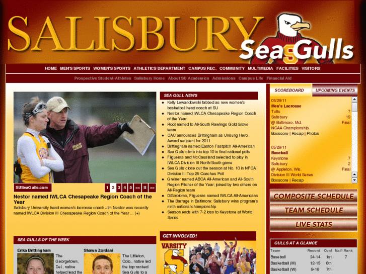 www.suseagulls.com