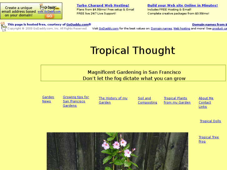 www.tropicalthought.com