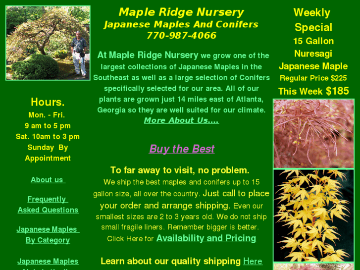 www.buy-japanese-maples.com