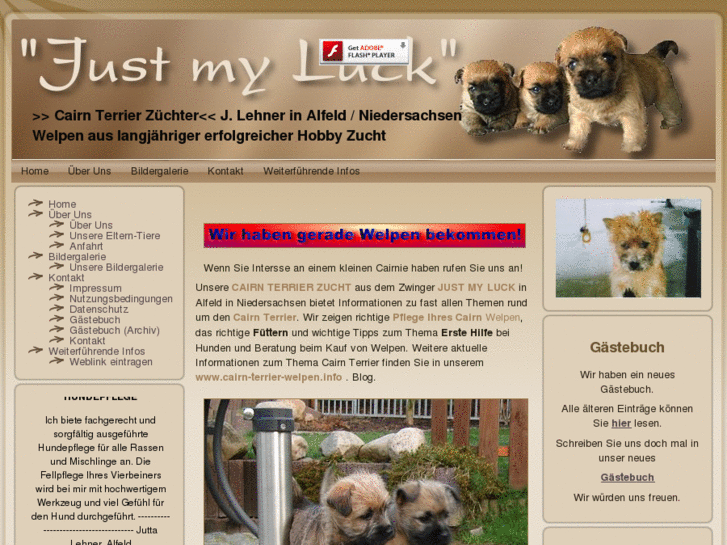 www.cairn-terrier-zucht.info