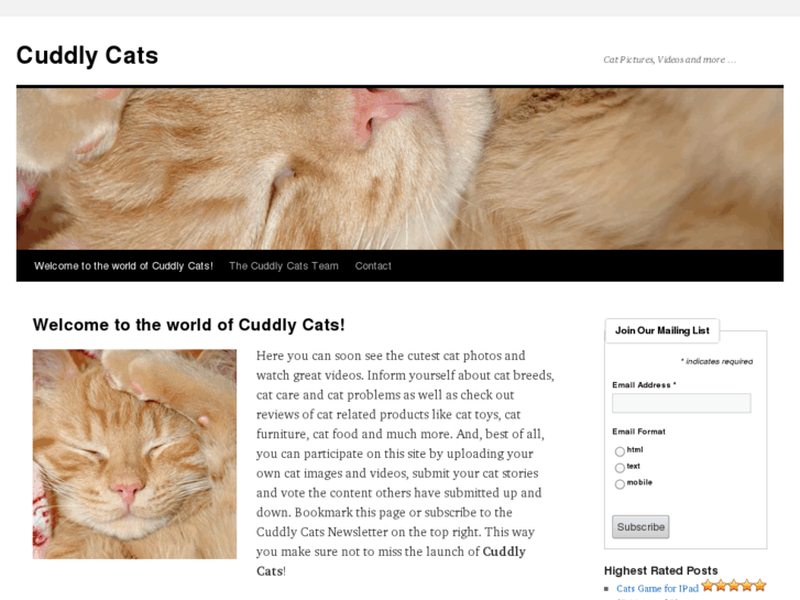 www.cuddlycats.org