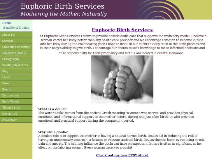 www.euphoricbirthservices.com