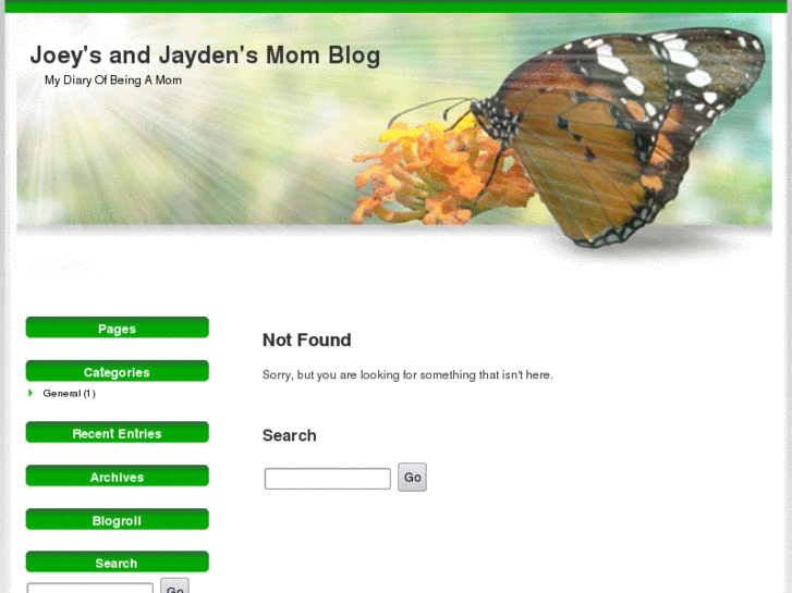 www.joeyandjayden.com