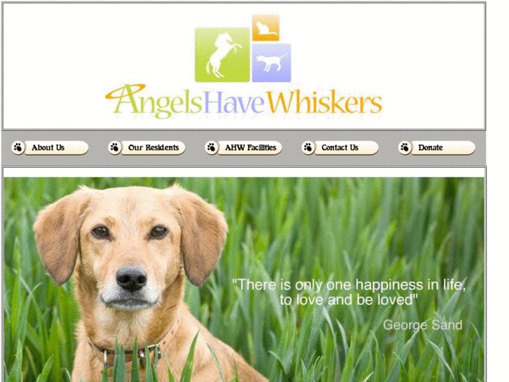 www.angelshavewhiskers.com