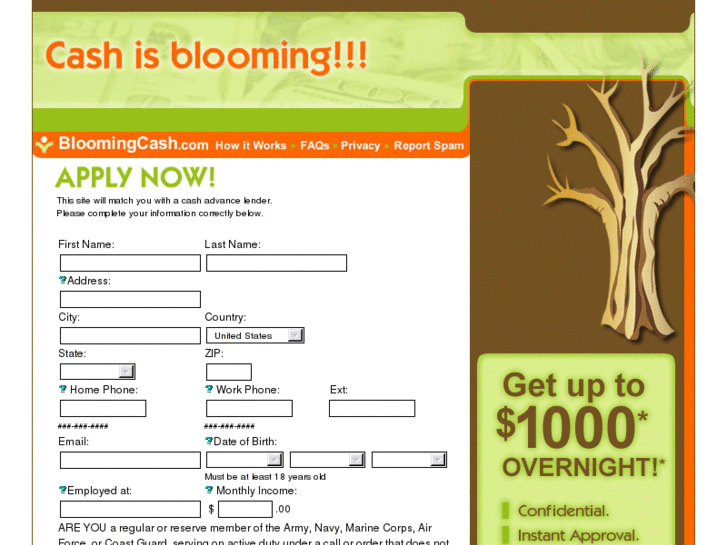 www.bloomingcash.com