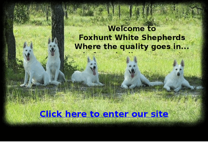 www.foxhuntwhiteshepherds.com