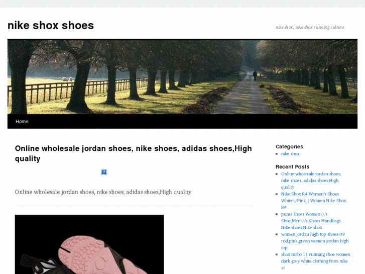 www.nike-shox-shoes.com