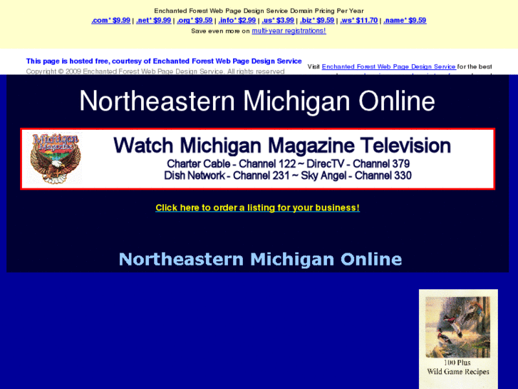 www.northeasternmichiganonline.com