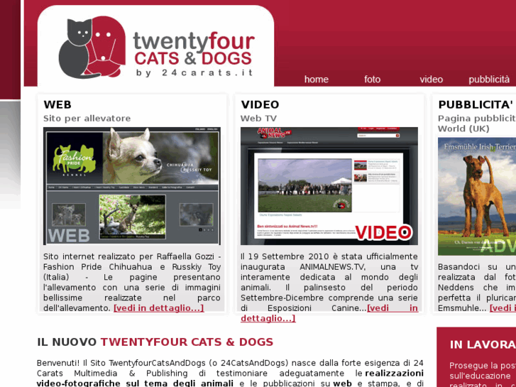 www.twentyfourcatsanddogs.it