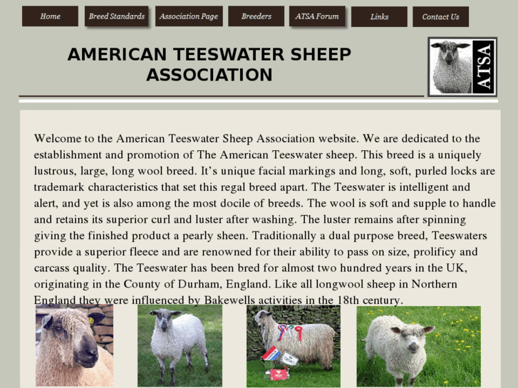 www.americanteeswatersheep.com