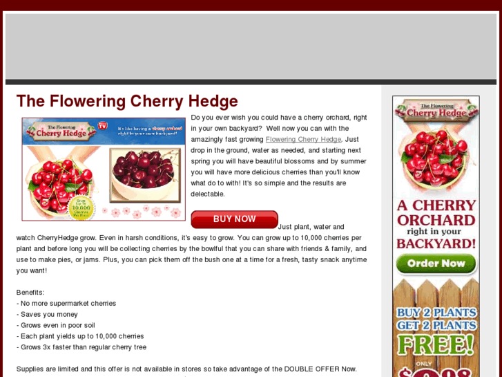 www.buycherryhedge.com