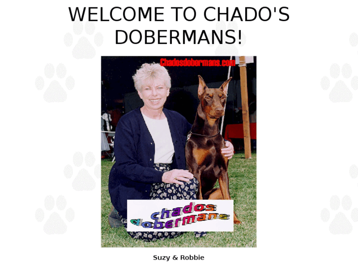 www.chadosdobermans.com