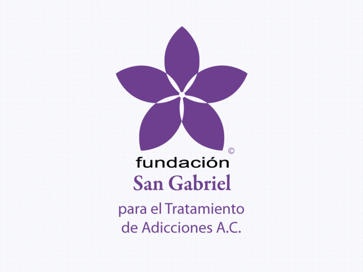 www.fundacionsg.org