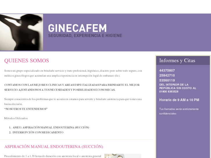 www.ginecafem.com