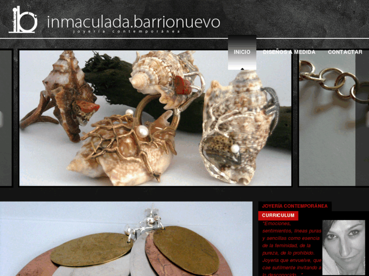 www.inmaculadabarrionuevo.com