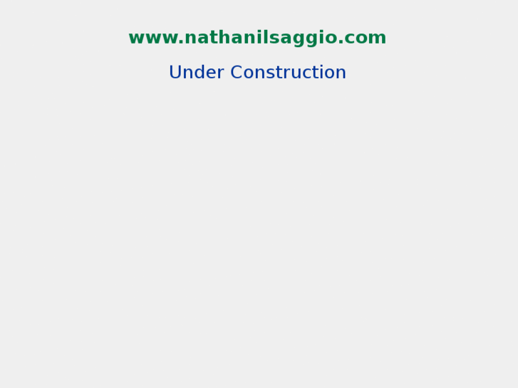 www.nathanilsaggio.com