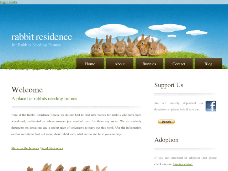 www.rabbitresidence.org.uk