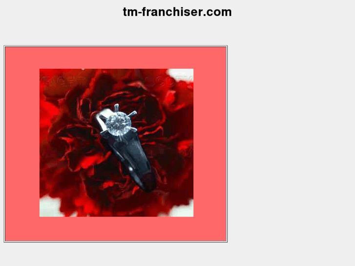 www.tm-franchiser.com