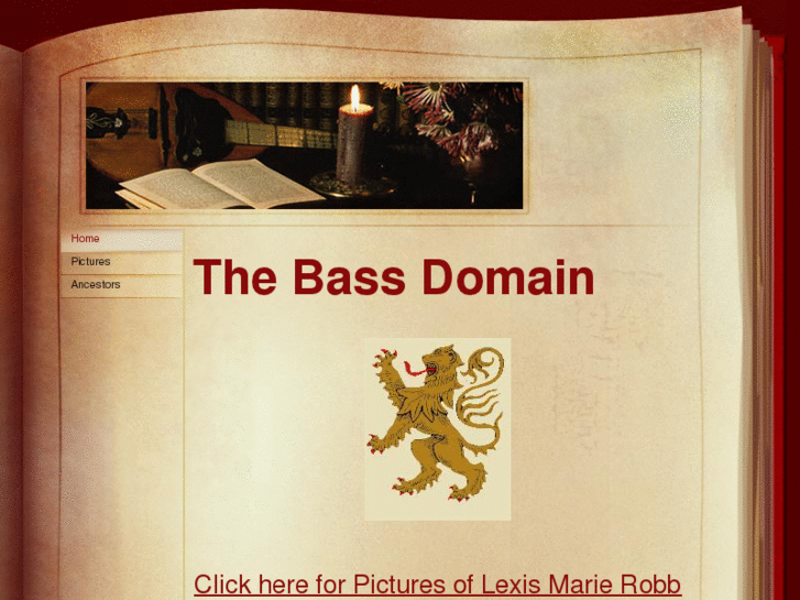 www.bassdomain.com