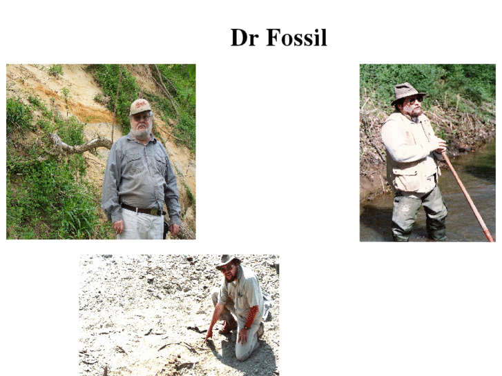 www.drfossil.com