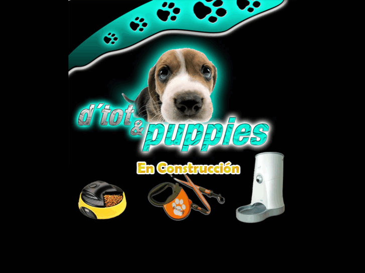 www.dtotpuppies.com