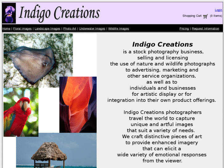 www.indigo-creations.com