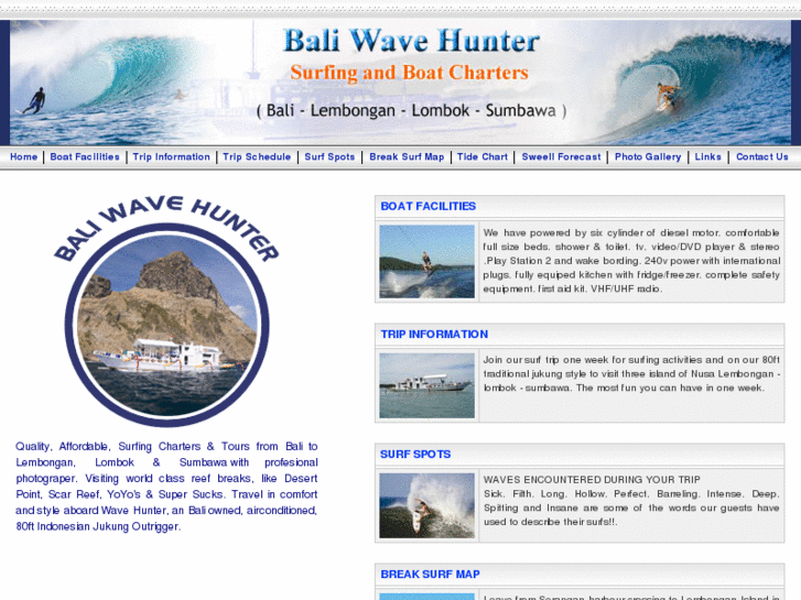 www.baliwavehunter.com