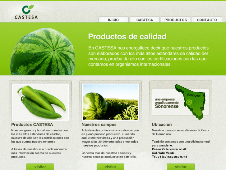 www.castesa.com.mx