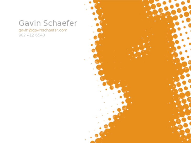 www.gavinschaefer.com