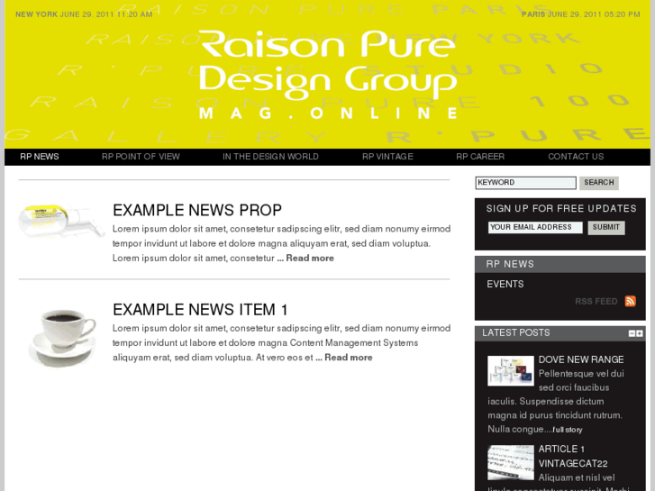 www.raisonpuremag.com