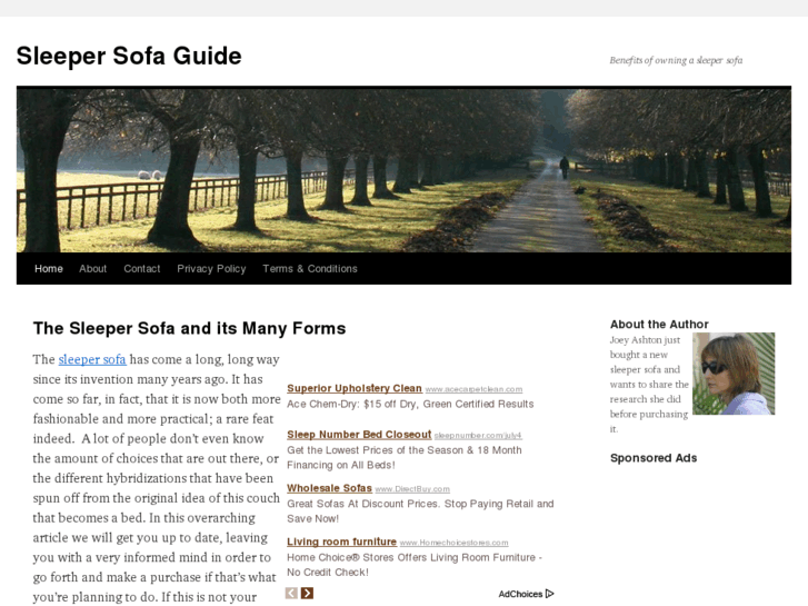 www.sleepersofaguide.com