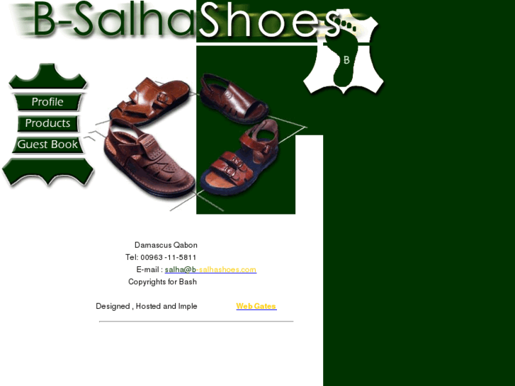 www.b-salhashoes.com