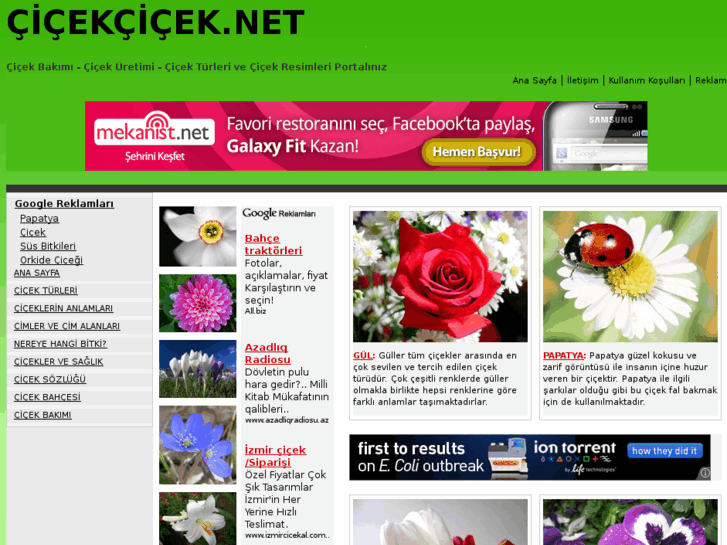 www.cicekcicek.net