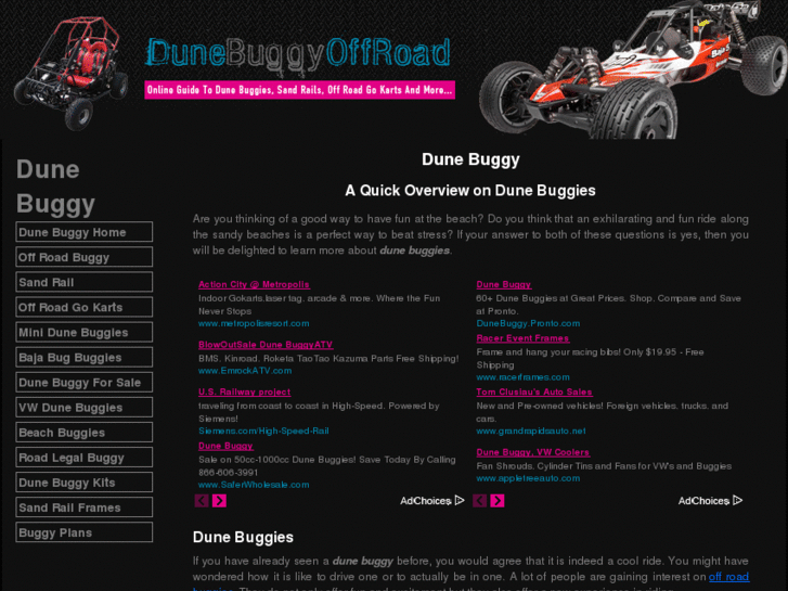 www.dunebuggyoffroad.com